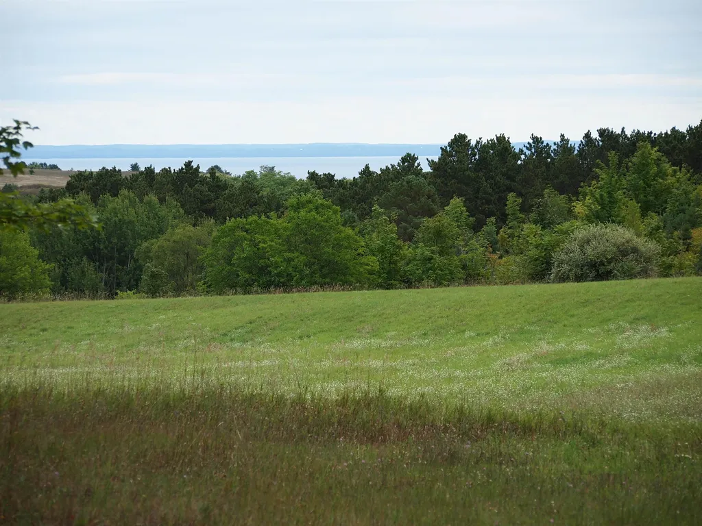 Parcel B E Duck Lake Road Suttons Bay Township MI 49682