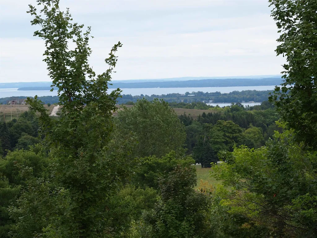 Parcel C E Duck Lake Road Suttons Bay Township MI 49682