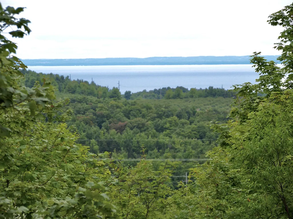 Parcel C E Duck Lake Road Suttons Bay Township MI 49682