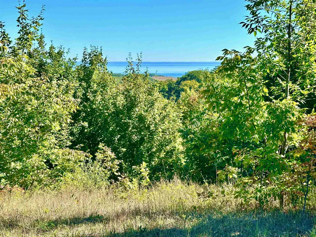 Parcel C E Duck Lake Road Suttons Bay Township MI 49682