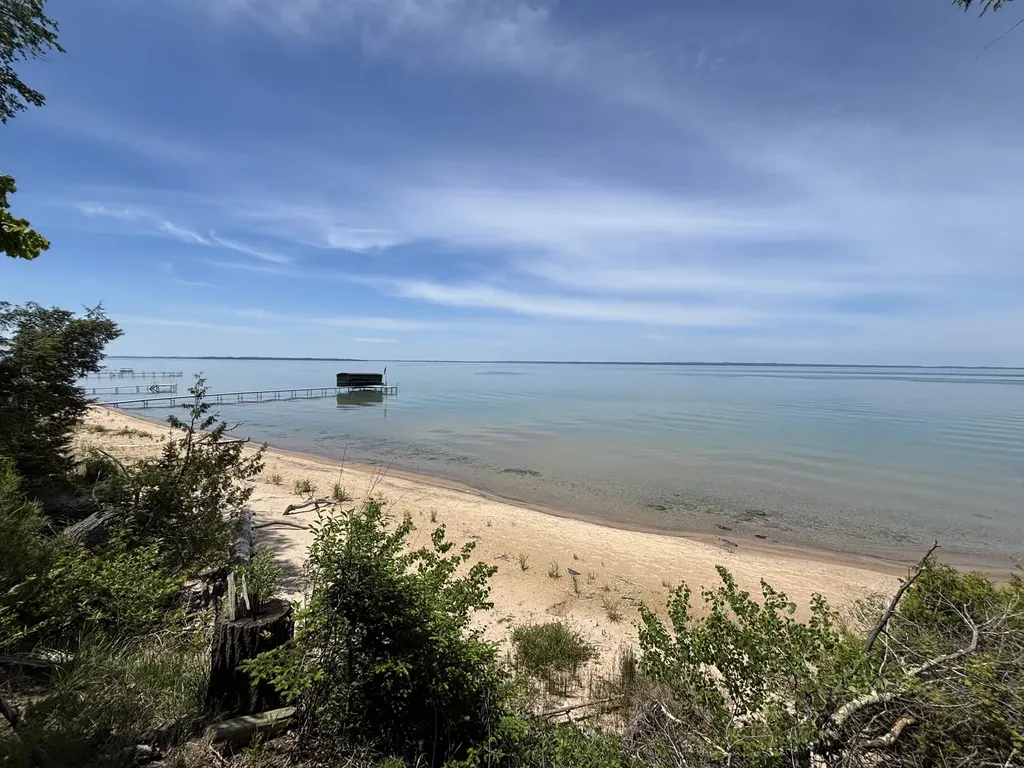 1321 Bayview Drive Torch Lake Township MI 49648