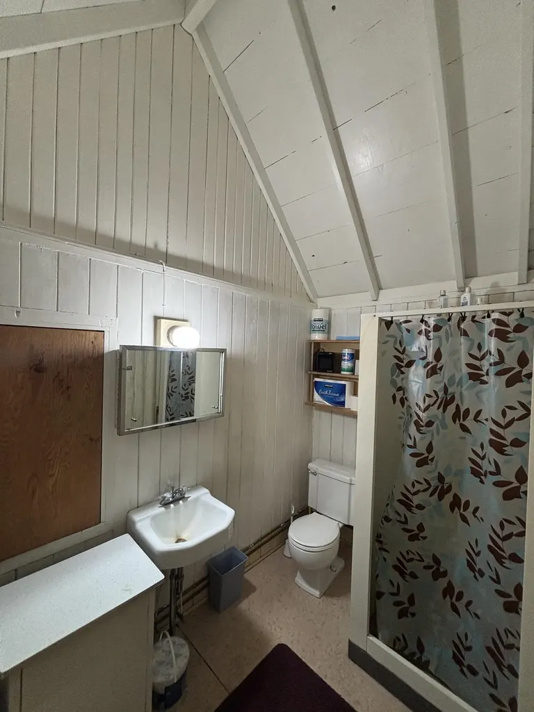 1321 Bayview Drive Torch Lake Township MI 49648