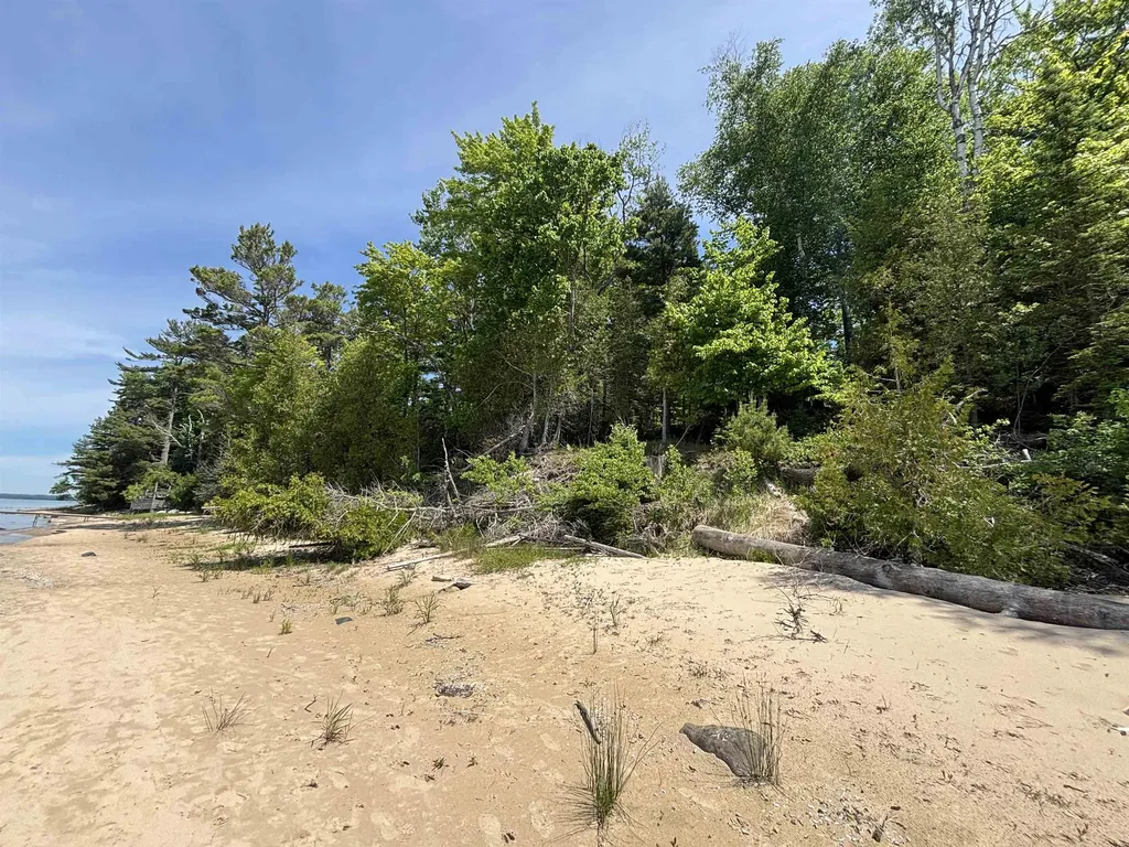 1321 Bayview Drive Torch Lake Township MI 49648