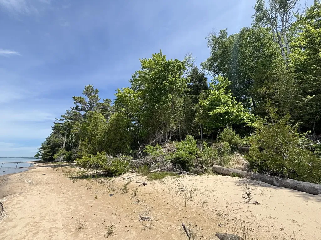 1321 Bayview Drive Torch Lake Township MI 49648