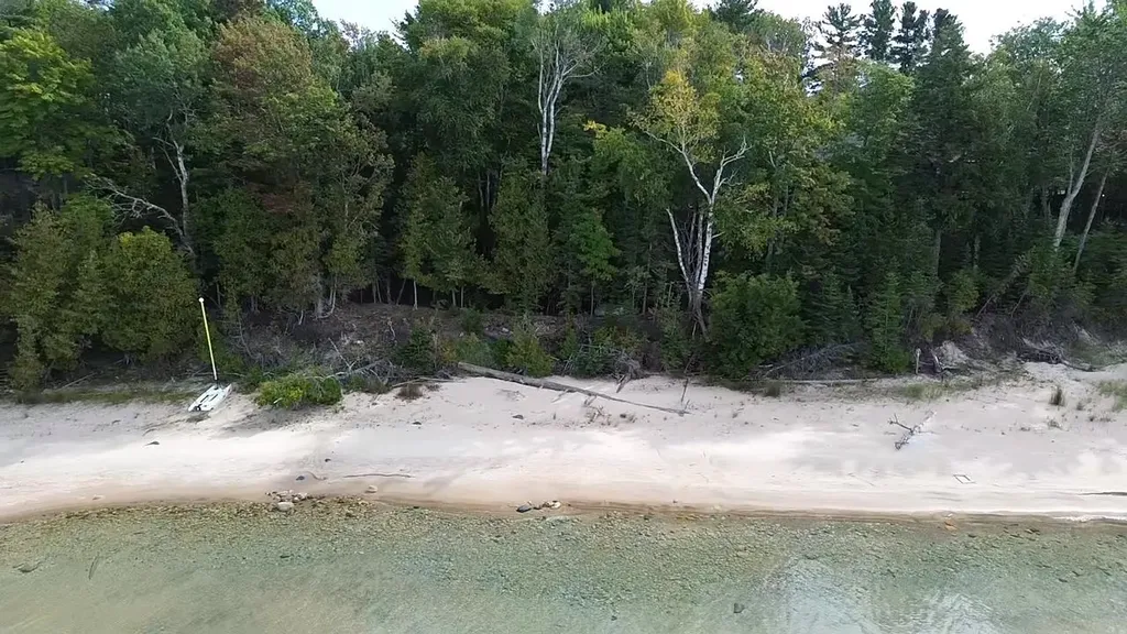 1321 Bayview Drive Torch Lake Township MI 49648