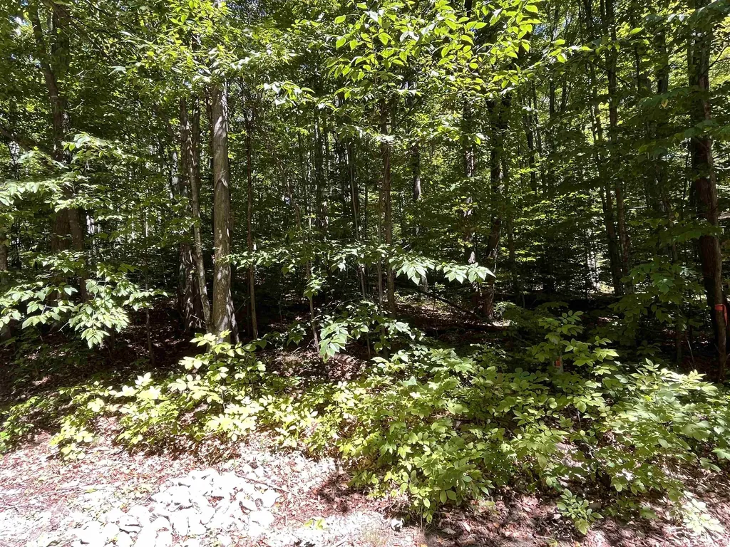 Lot 70 N Klaffen Strasse Custer Township MI 49615