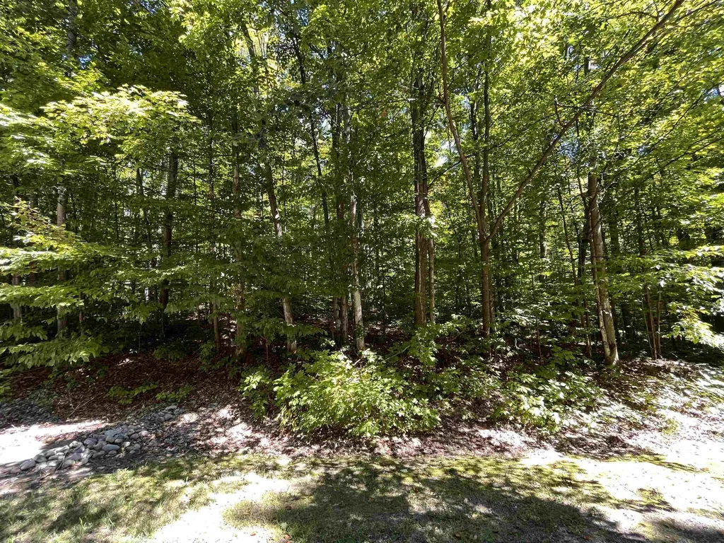 Lot 70 N Klaffen Strasse Custer Township MI 49615