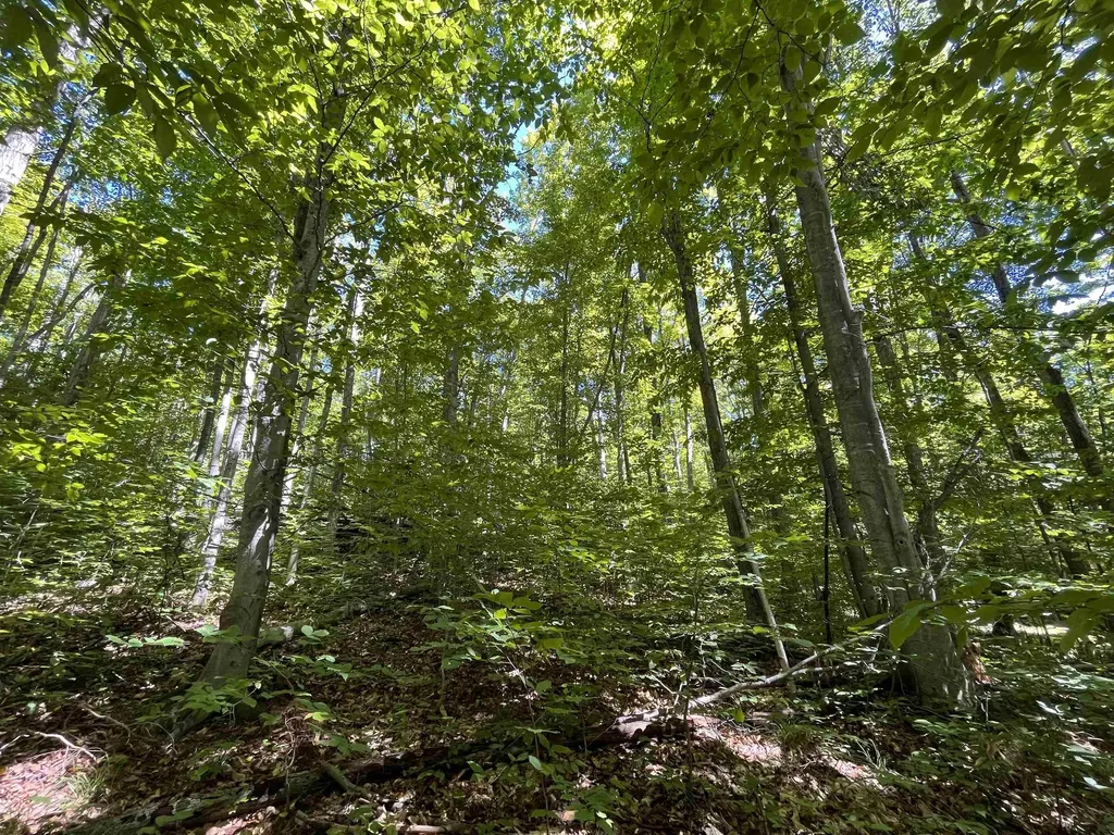 Lot 70 N Klaffen Strasse Custer Township MI 49615