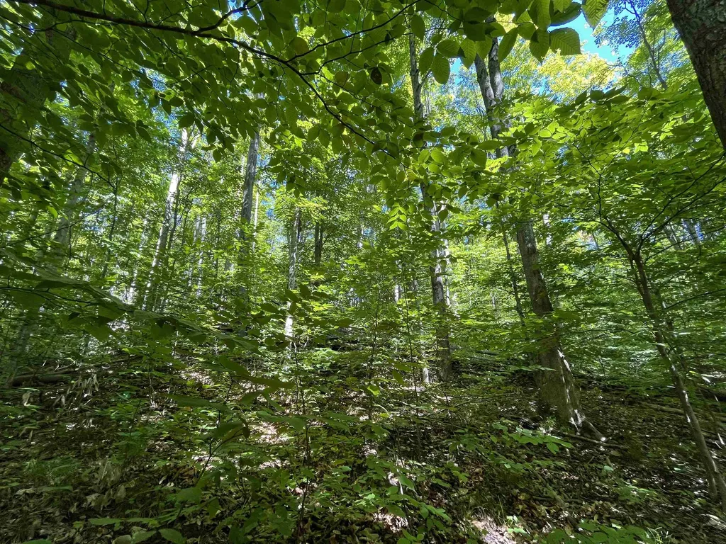 Lot 70 N Klaffen Strasse Custer Township MI 49615