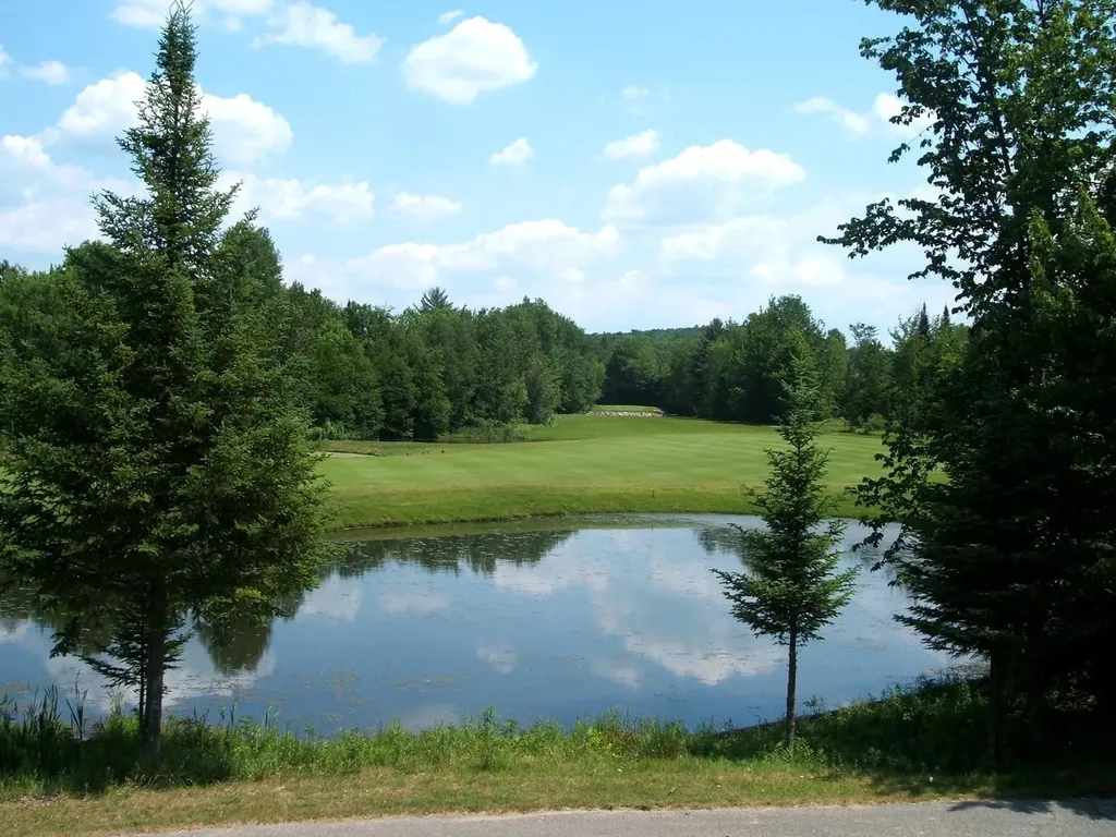 Lot 70 N Klaffen Strasse Custer Township MI 49615