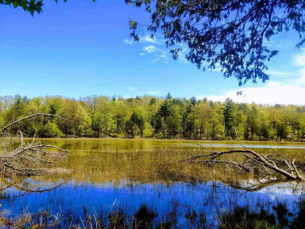 4972 Truax Lake Road Whitewater Township MI 49690