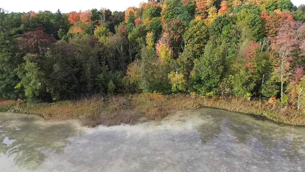 4972 Truax Lake Road Whitewater Township MI 49690