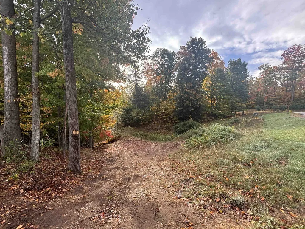 4972 Truax Lake Road Whitewater Township MI 49690