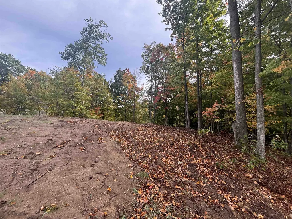 4972 Truax Lake Road Whitewater Township MI 49690