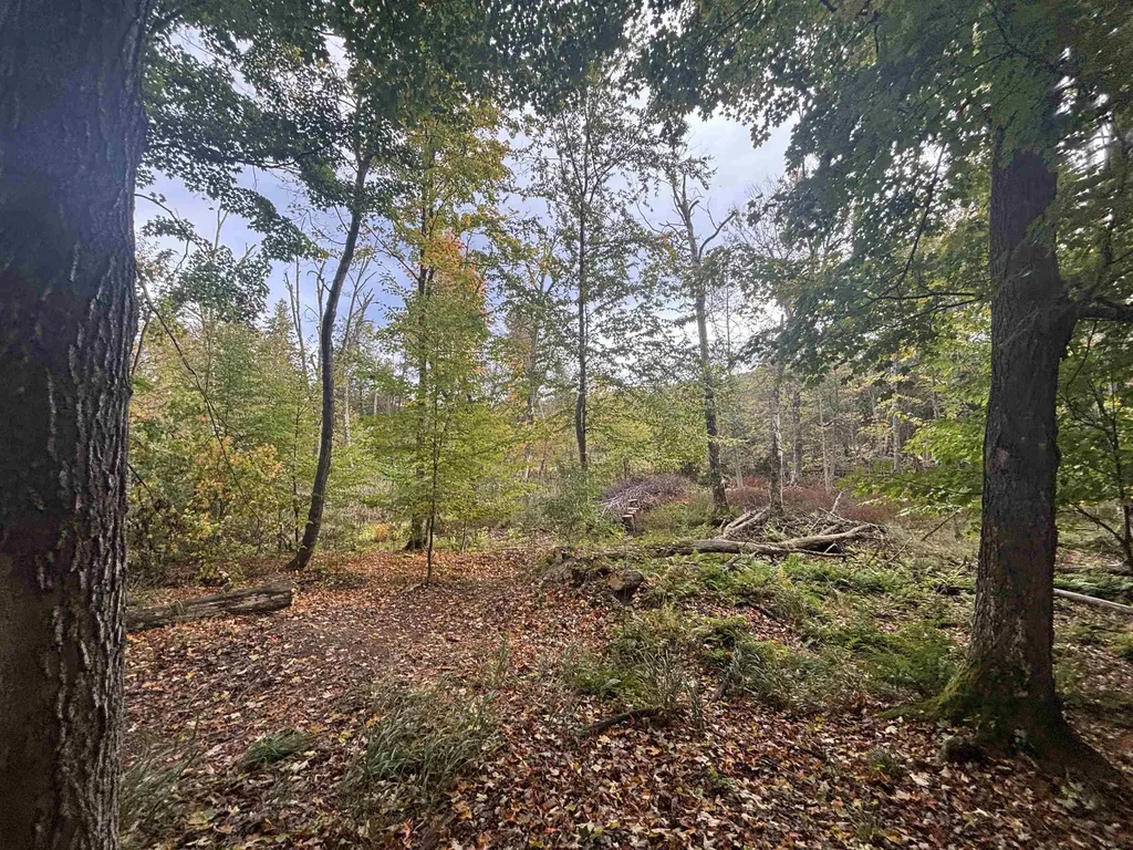 4972 Truax Lake Road Whitewater Township MI 49690