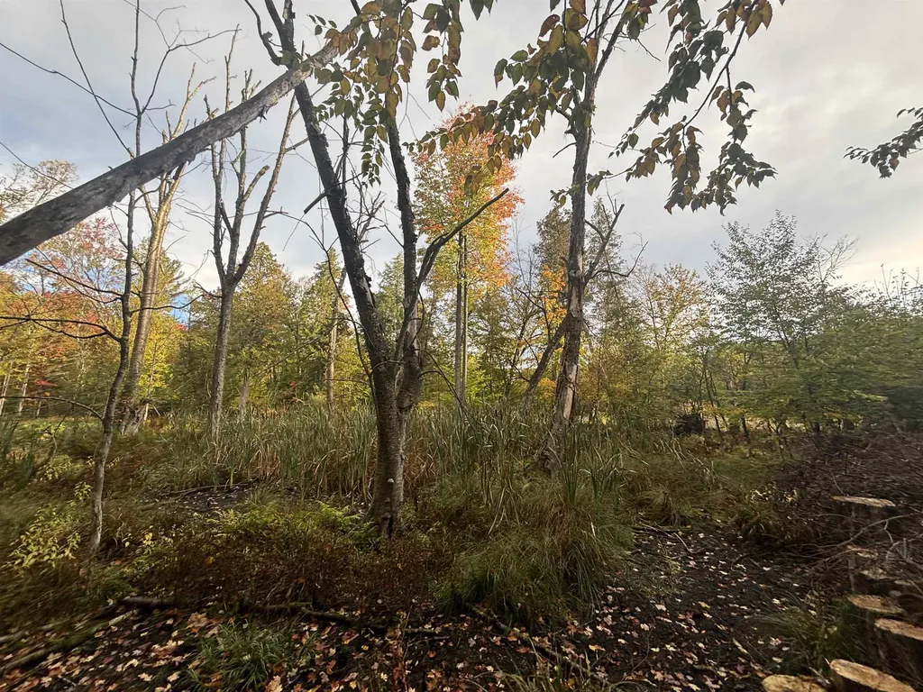 4972 Truax Lake Road Whitewater Township MI 49690