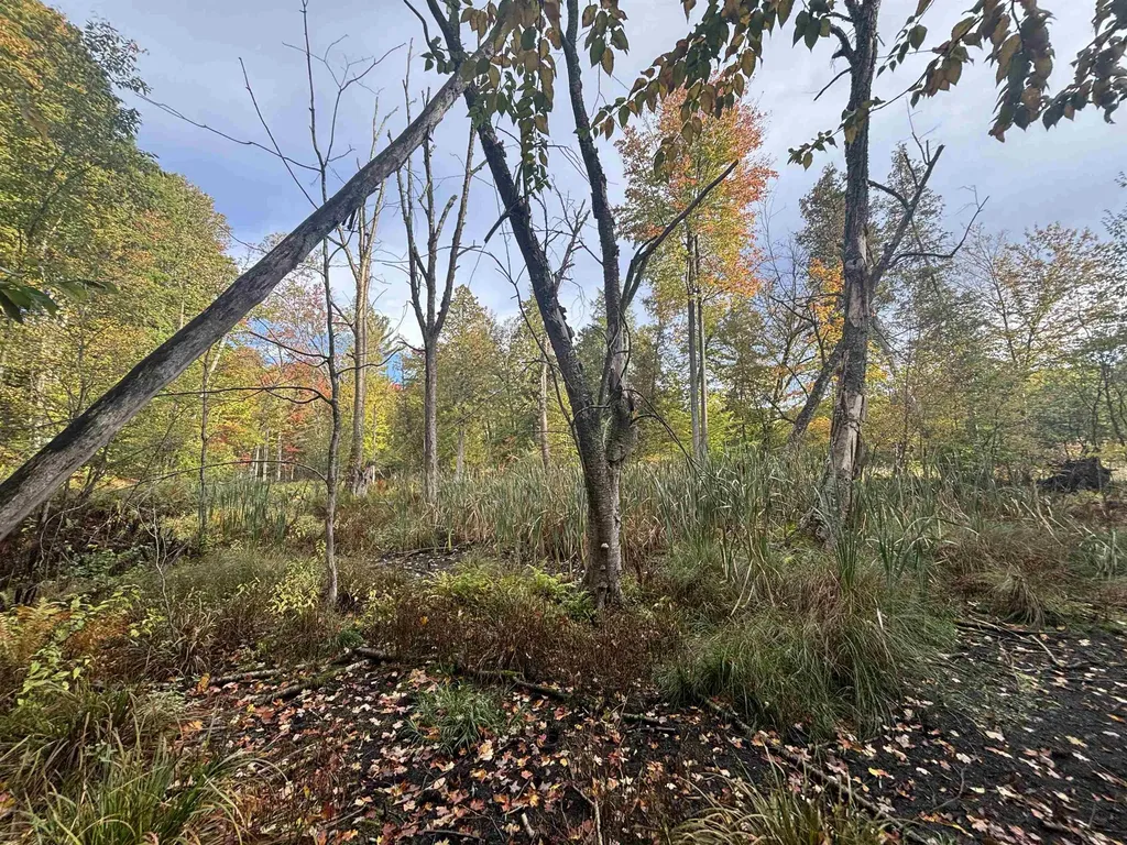 4972 Truax Lake Road Whitewater Township MI 49690