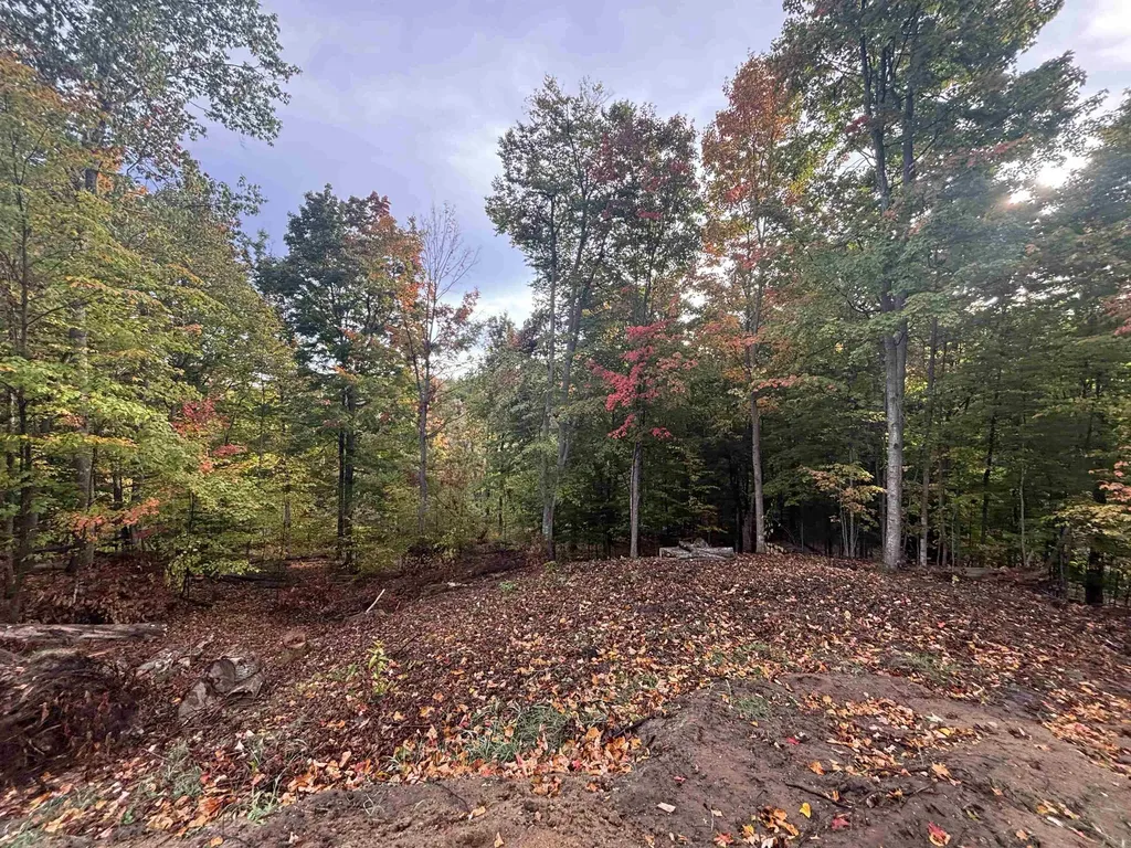 4972 Truax Lake Road Whitewater Township MI 49690