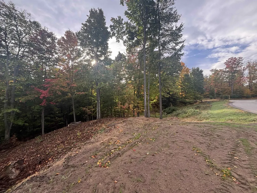 4972 Truax Lake Road Whitewater Township MI 49690