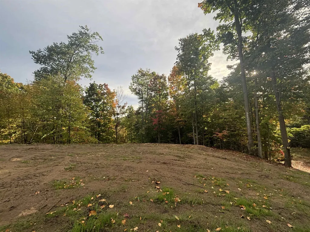 4972 Truax Lake Road Whitewater Township MI 49690