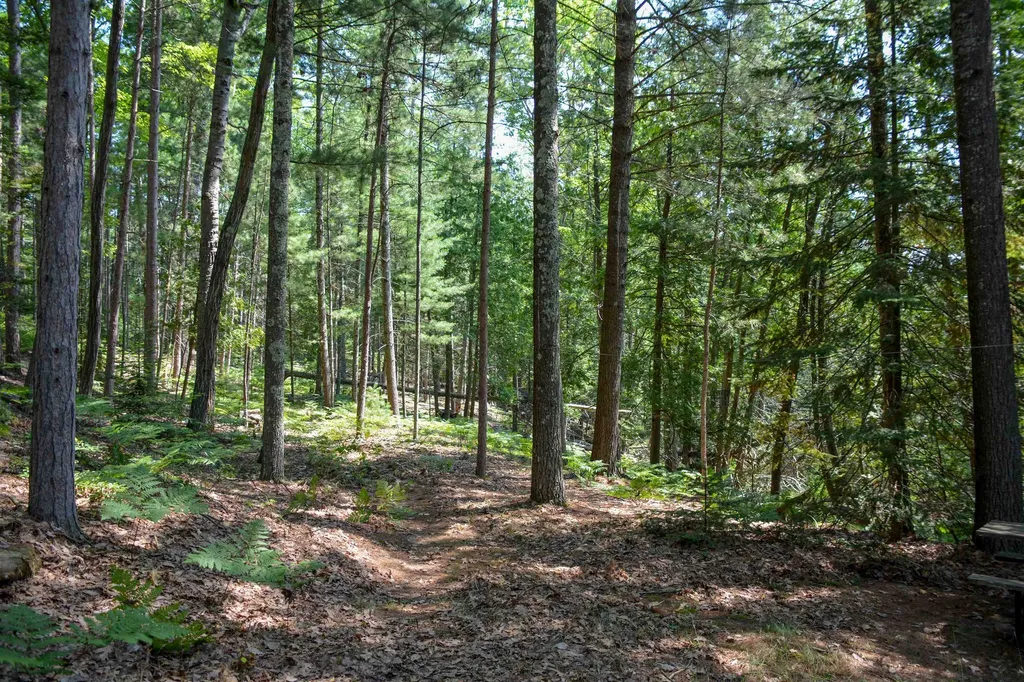 00, 6483 W Plum Valley Road NW Clearwater Township MI 49676