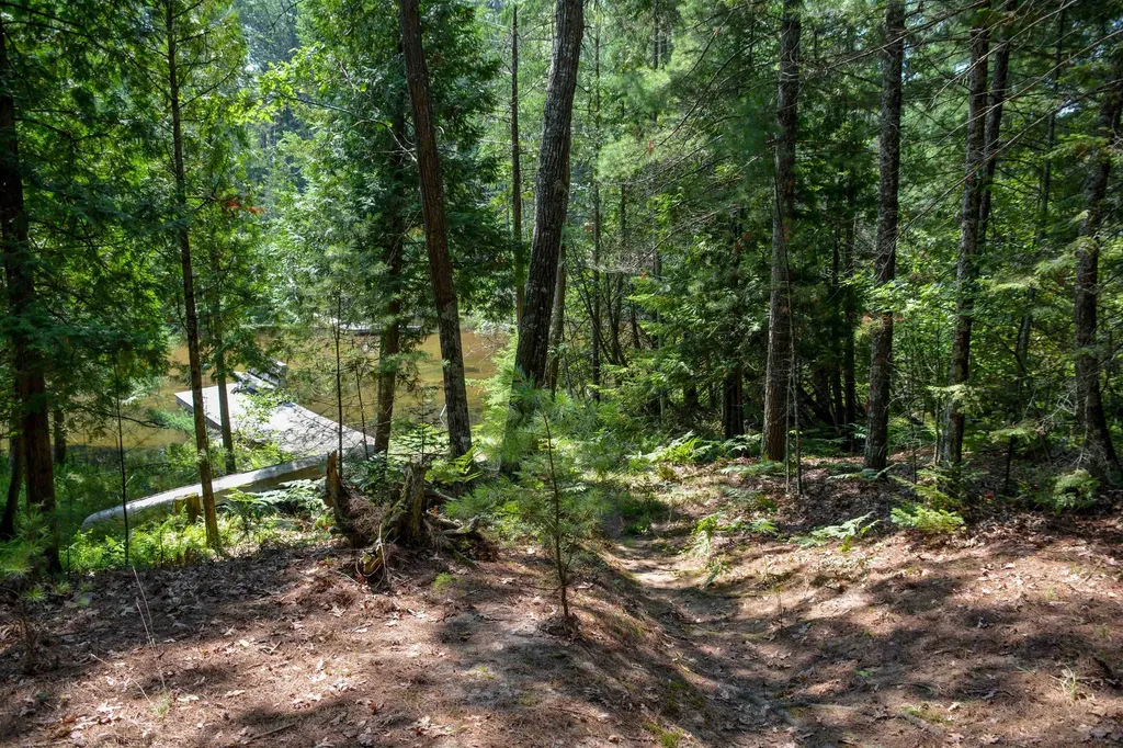 00, 6483 W Plum Valley Road NW Clearwater Township MI 49676