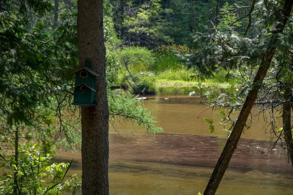 00, 6483 W Plum Valley Road NW Clearwater Township MI 49676