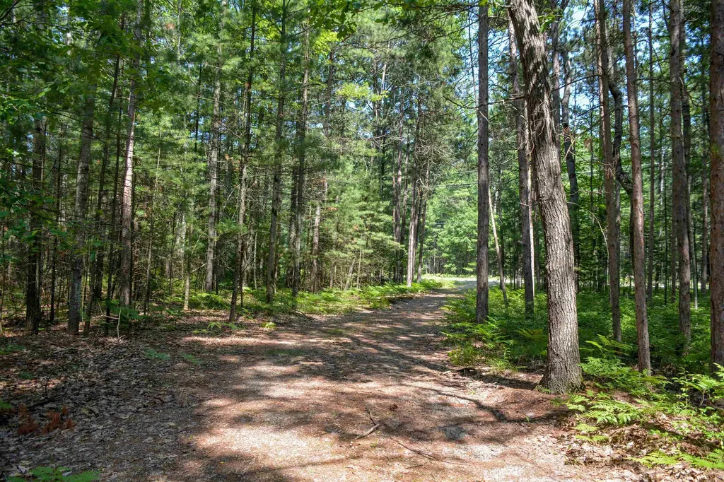 00, 6483 W Plum Valley Road NW Clearwater Township MI 49676