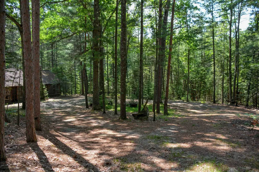 00, 6483 W Plum Valley Road NW Clearwater Township MI 49676
