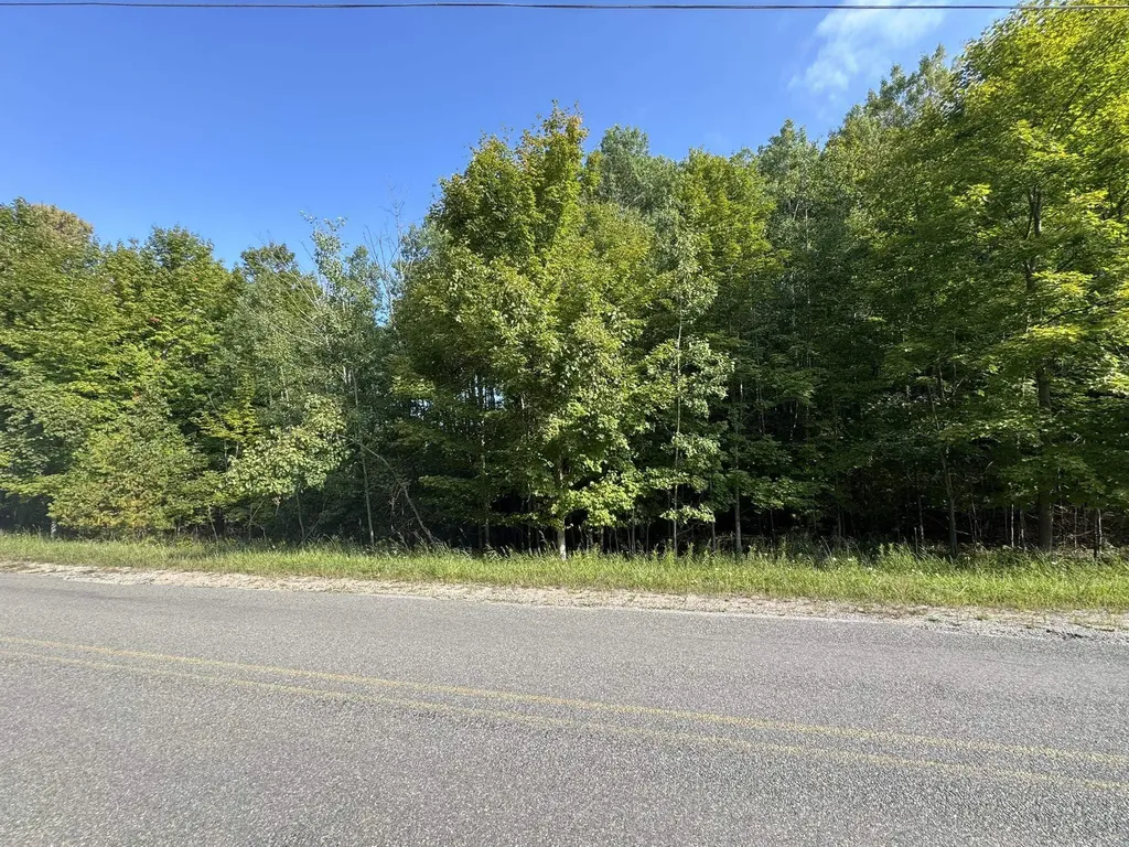 Lot 4 E Old Mountain Road Cleveland Township MI 49621