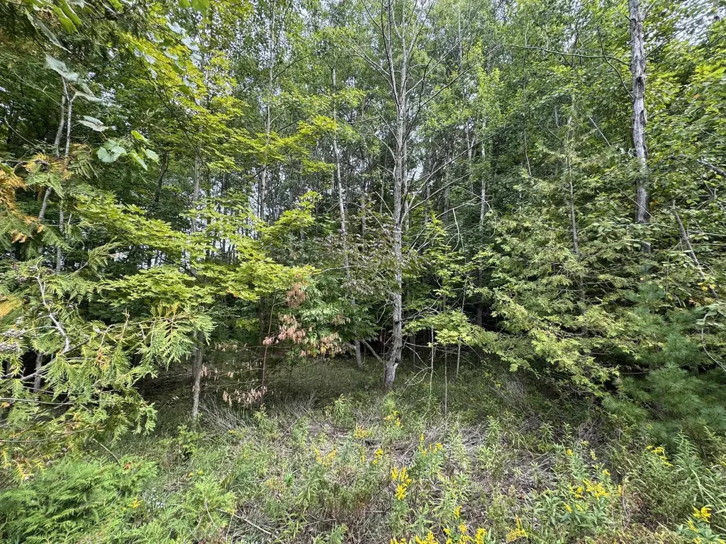 Lot 4 E Old Mountain Road Cleveland Township MI 49621