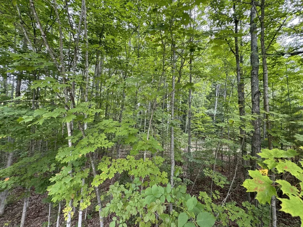 Lot 4 E Old Mountain Road Cleveland Township MI 49621