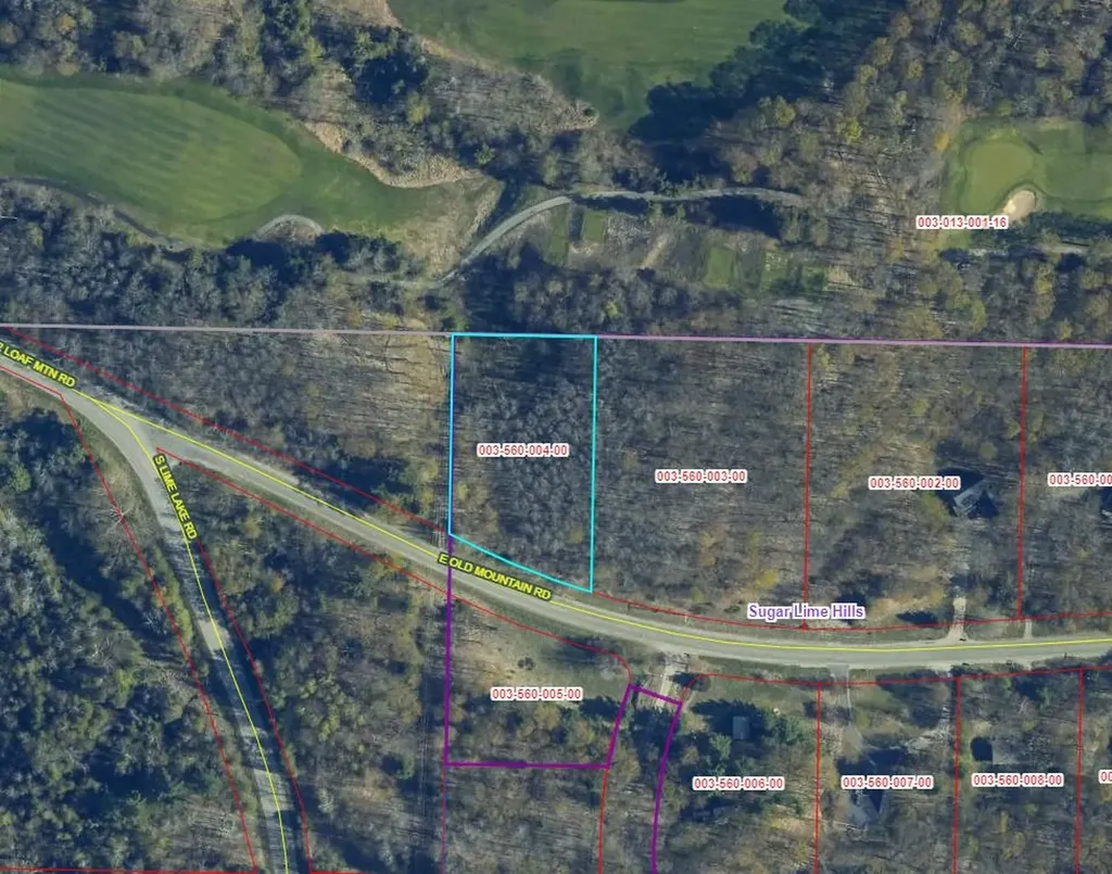 Lot 4 E Old Mountain Road Cleveland Township MI 49621