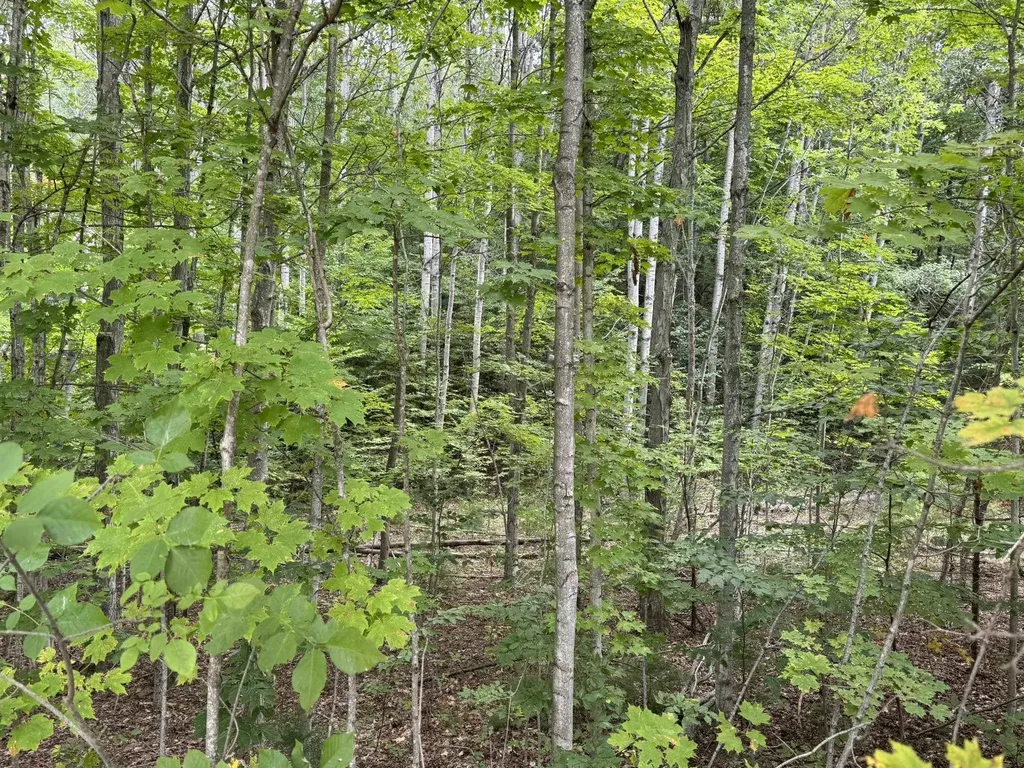 Lot 4 E Old Mountain Road Cleveland Township MI 49621