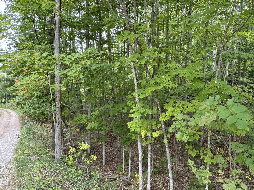 Lot 4 E Old Mountain Road Cleveland Township MI 49621
