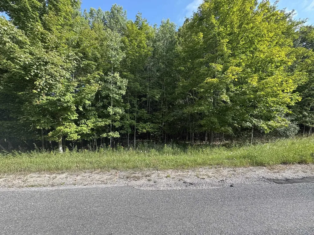 Lot 4 E Old Mountain Road Cleveland Township MI 49621