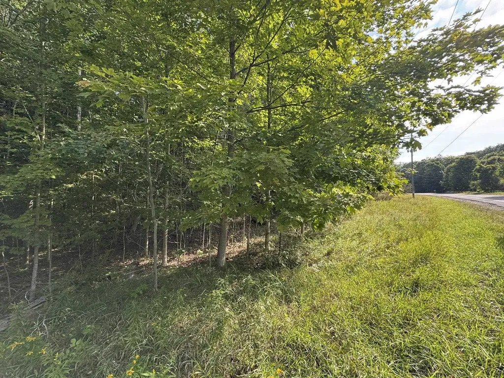 Lot 4 E Old Mountain Road Cleveland Township MI 49621