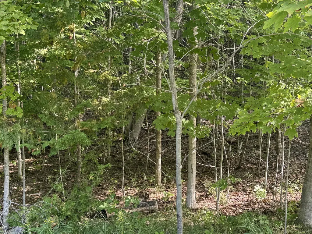 Lot 4 E Old Mountain Road Cleveland Township MI 49621