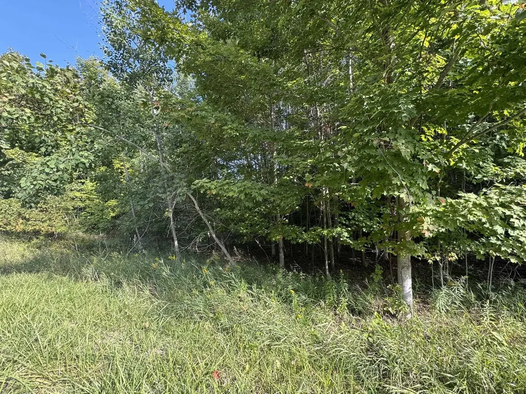 Lot 4 E Old Mountain Road Cleveland Township MI 49621