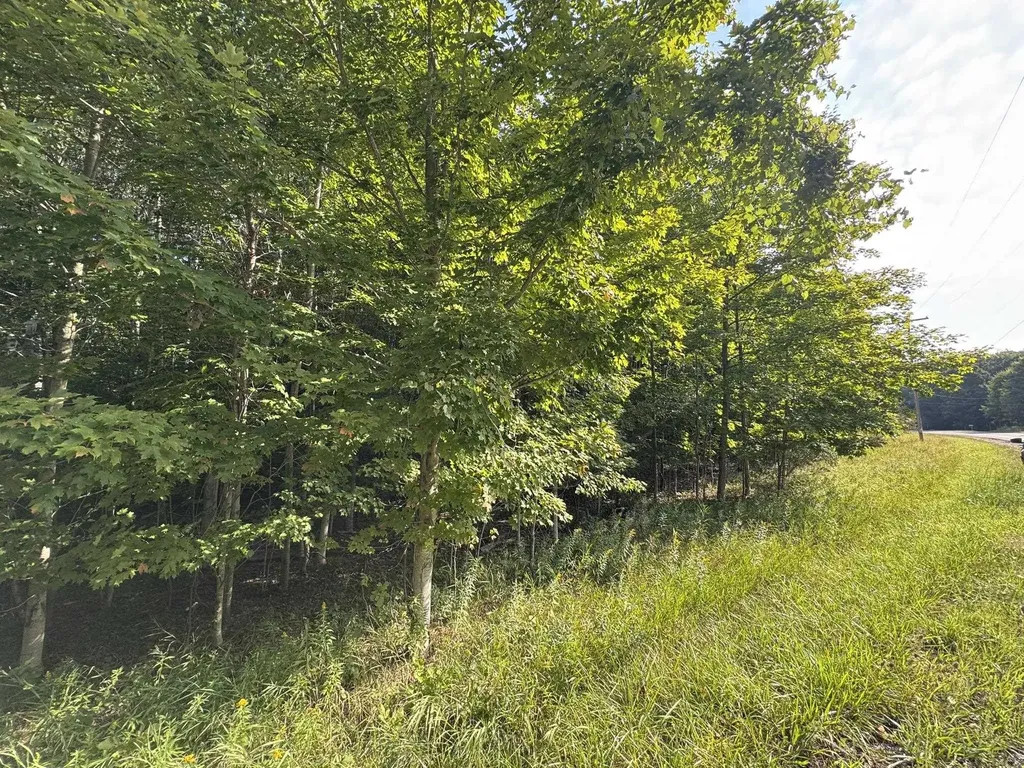 Lot 4 E Old Mountain Road Cleveland Township MI 49621