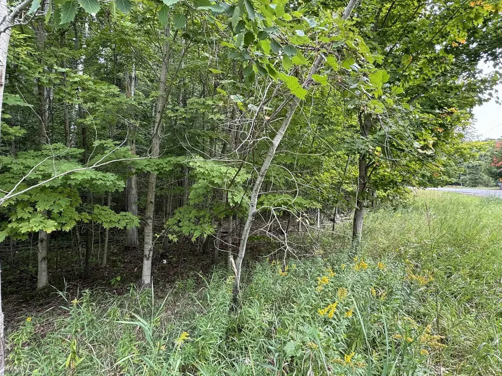Lot 4 E Old Mountain Road Cleveland Township MI 49621