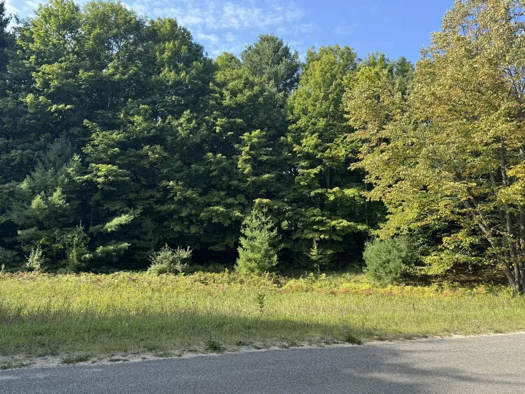 Lot 5 E Old Mountain Road Cleveland Township MI 49621