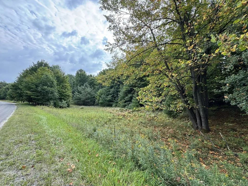 Lot 5 E Old Mountain Road Cleveland Township MI 49621