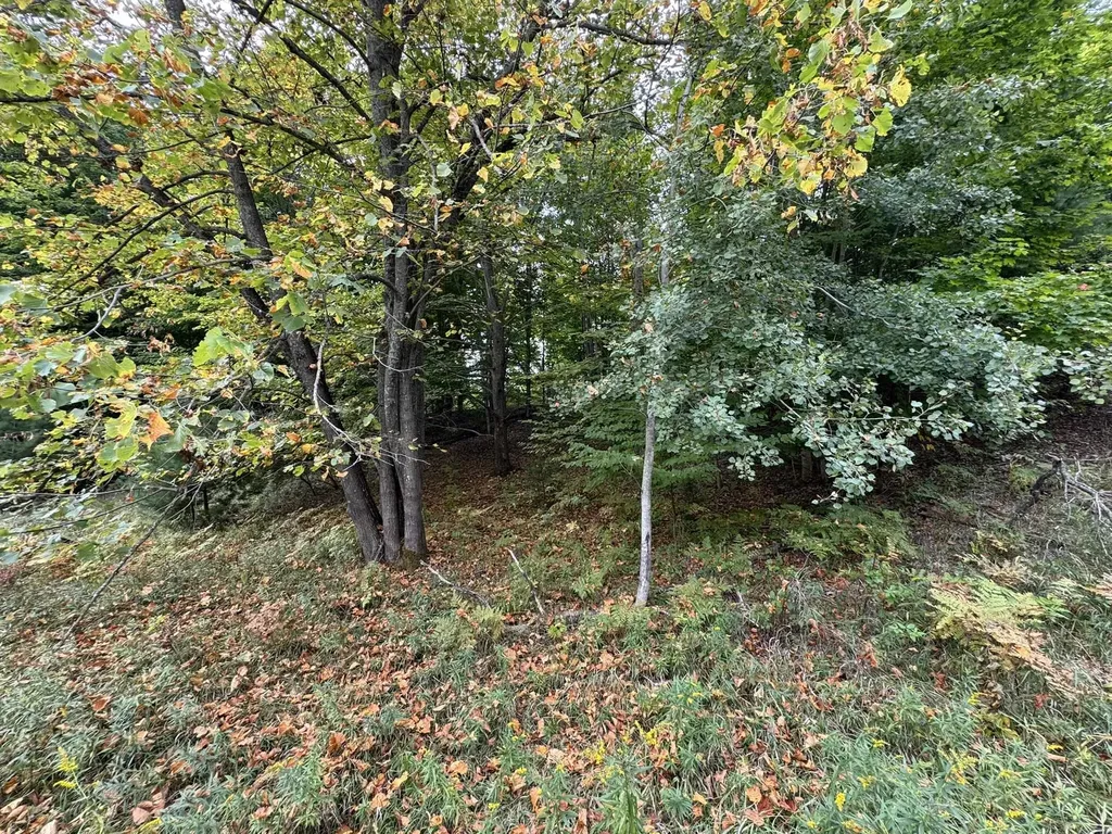 Lot 5 E Old Mountain Road Cleveland Township MI 49621