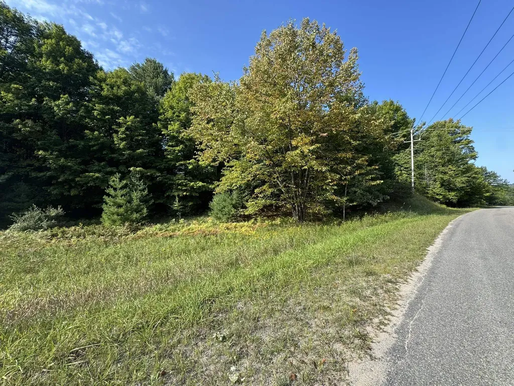 Lot 5 E Old Mountain Road Cleveland Township MI 49621