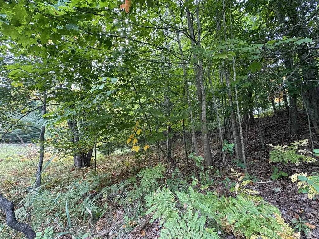 Lot 5 E Old Mountain Road Cleveland Township MI 49621