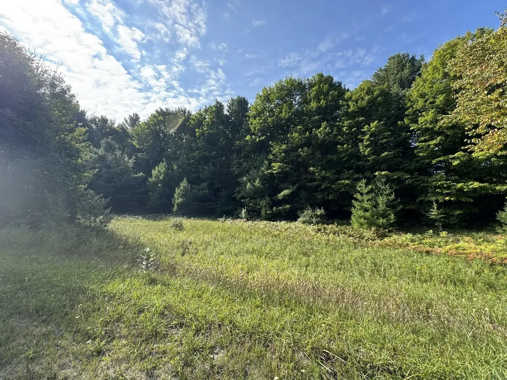 Lot 5 E Old Mountain Road Cleveland Township MI 49621