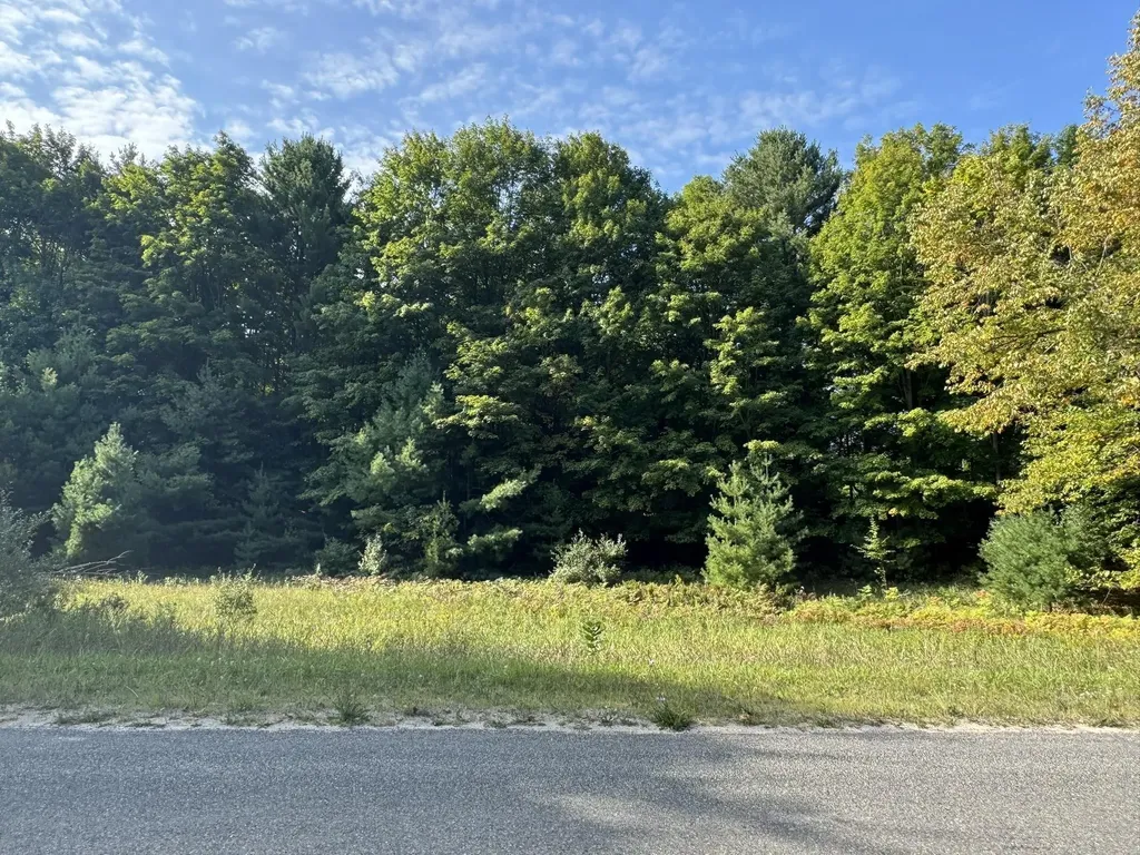 Lot 5 E Old Mountain Road Cleveland Township MI 49621