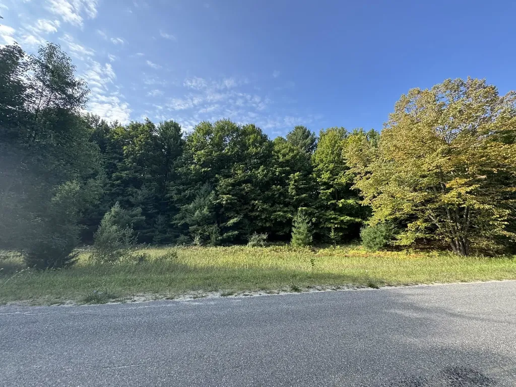 Lot 5 E Old Mountain Road Cleveland Township MI 49621