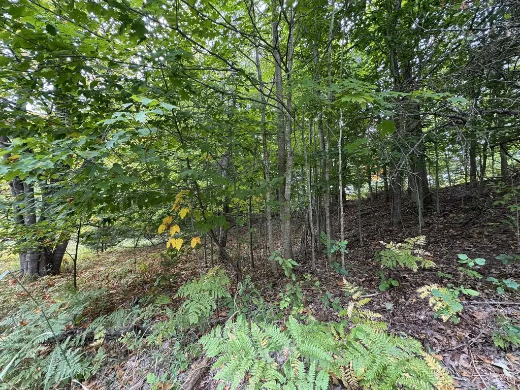 Lot 5 E Old Mountain Road Cleveland Township MI 49621